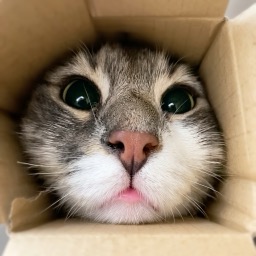 ソウルコンパスのマスコット ボム